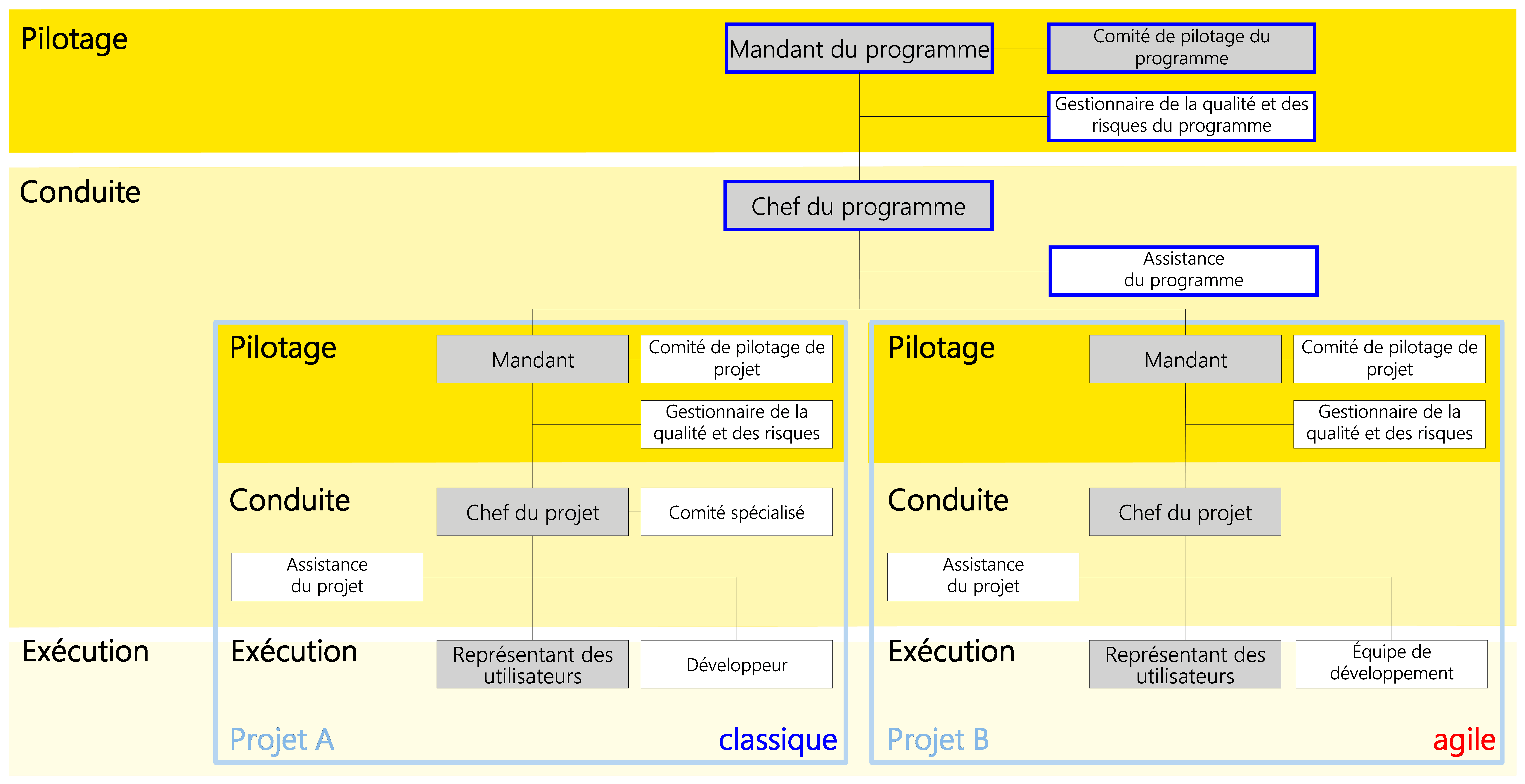 Figure 43: Forme d'organisation 1