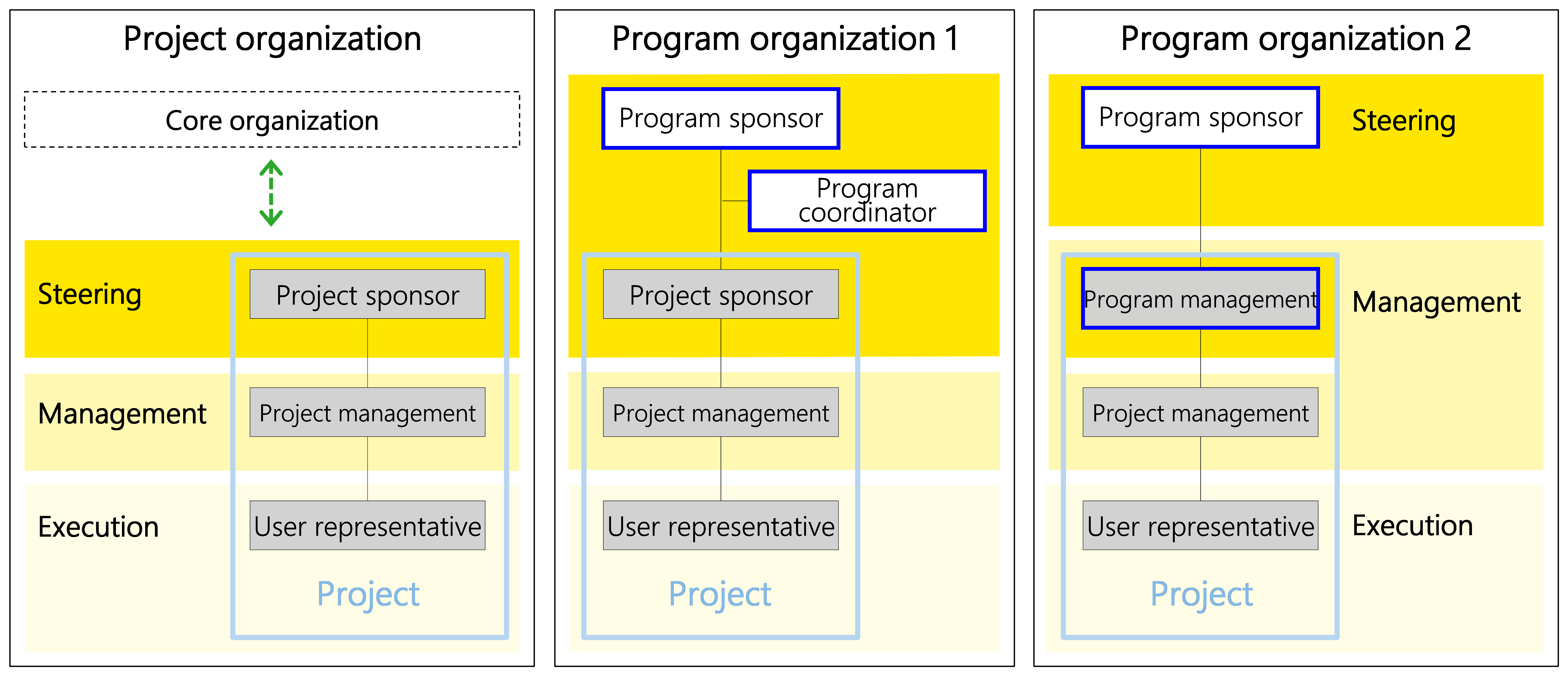 Figure 29: Three possible basic variants of project organization