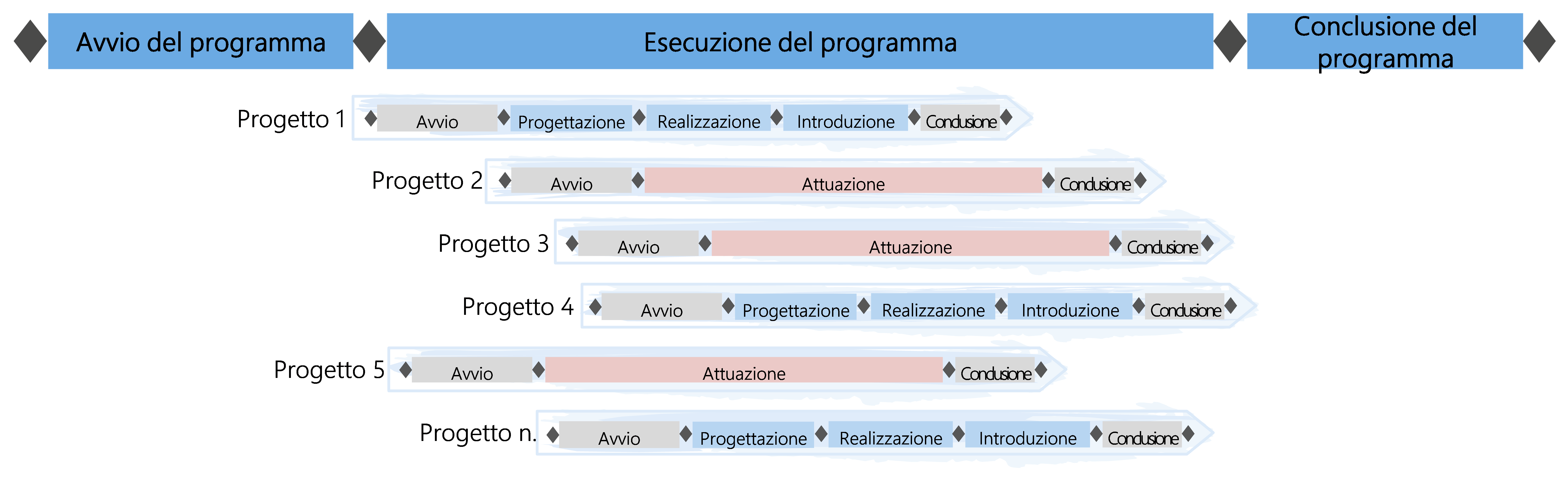Figura 28: progetti raggruppati in programmi
